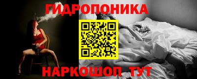 молекула духа Лесосибирск