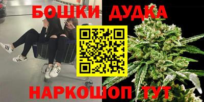 молекула духа Лесосибирск