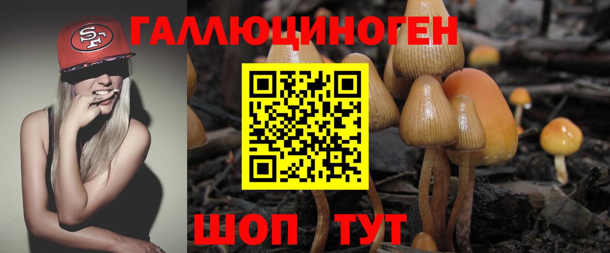 Фурманов  Псилоцибиновые грибы GOLDEN TEACHER  Вход с VPN 